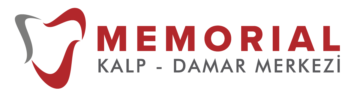 Prof. Dr. Serkan Durdu